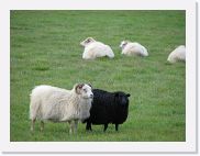 Ic21 [untitled] * 1080 x 810 * (83KB)